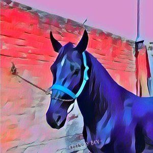 Meet your Posher, Beverly-anne